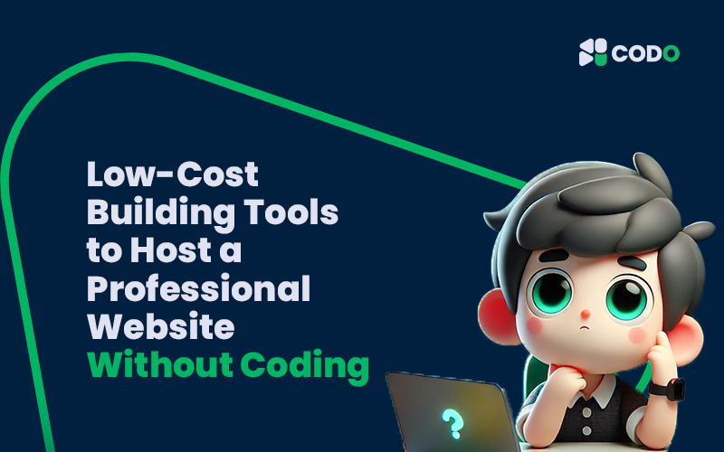 Low-Cost Building Tools to Host a Professional Website Without Coding 