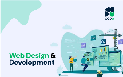 Web Design & Development